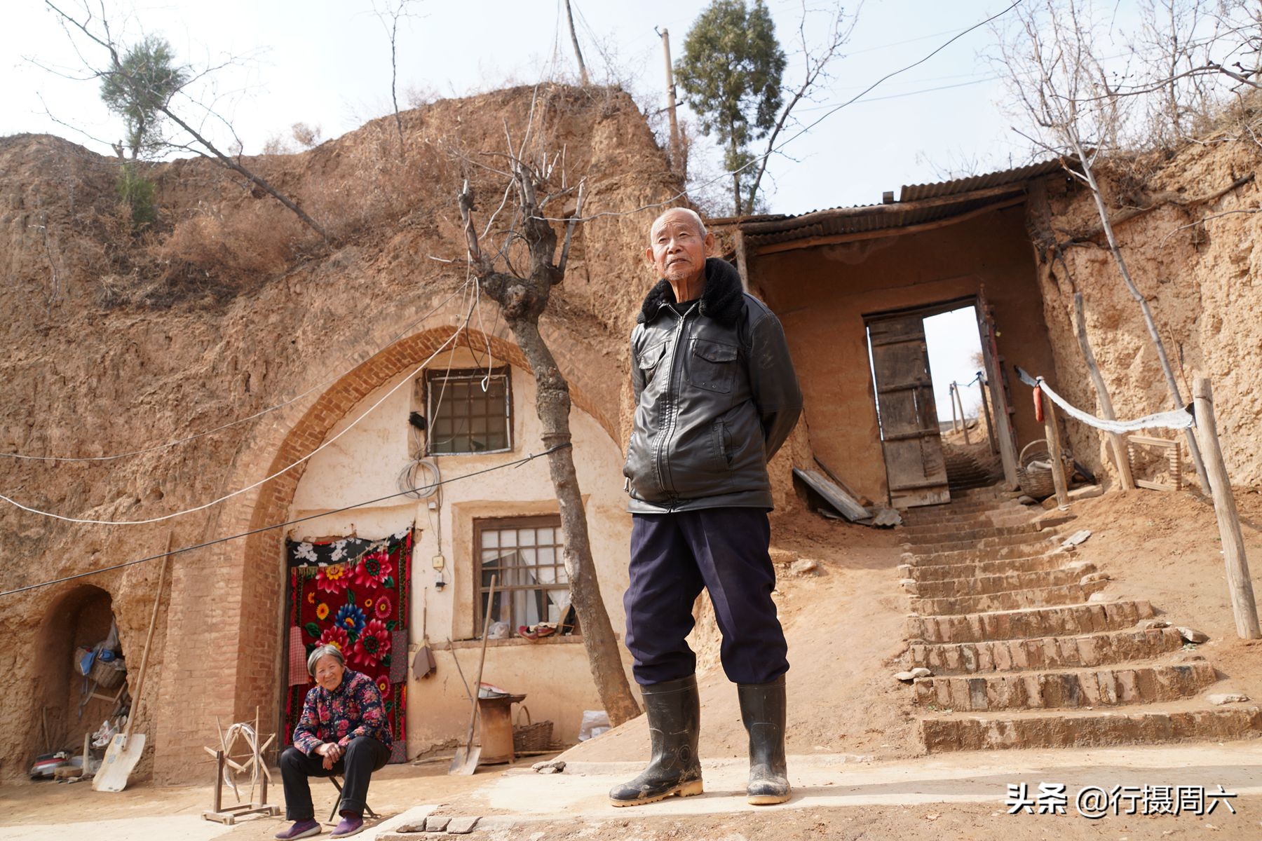 山西8旬大爷把母猪当宠物养,1窝小猪卖14600元,无本生意