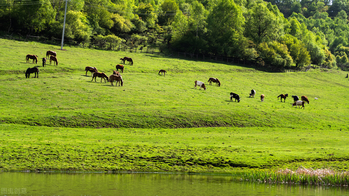 游关山牧场得用多少时间,游关山牧场作文