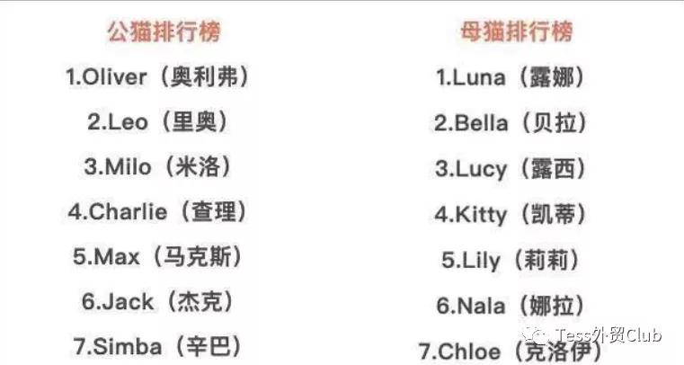 给自己取英文名要取姓吗,给自己取英文名免费