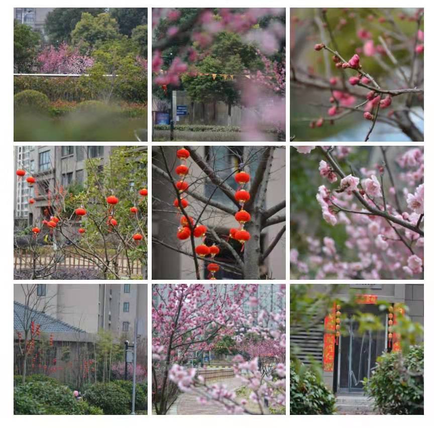 业委会与业主的沟通,业委会工作交流会