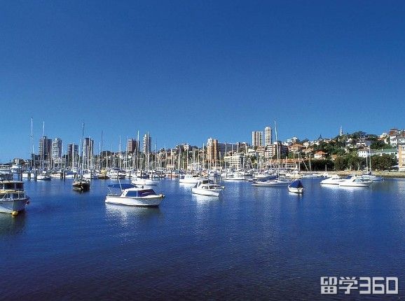 澳大利亚入境为什么那么严格,澳大利亚海关出入境规定