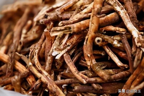 丹皮对肾的功效与作用,丹皮能改善肾功能吗