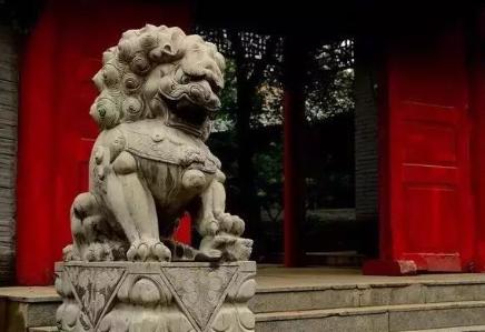 中国有没有舞狮和石狮子,中国没狮子为啥有石狮和舞狮