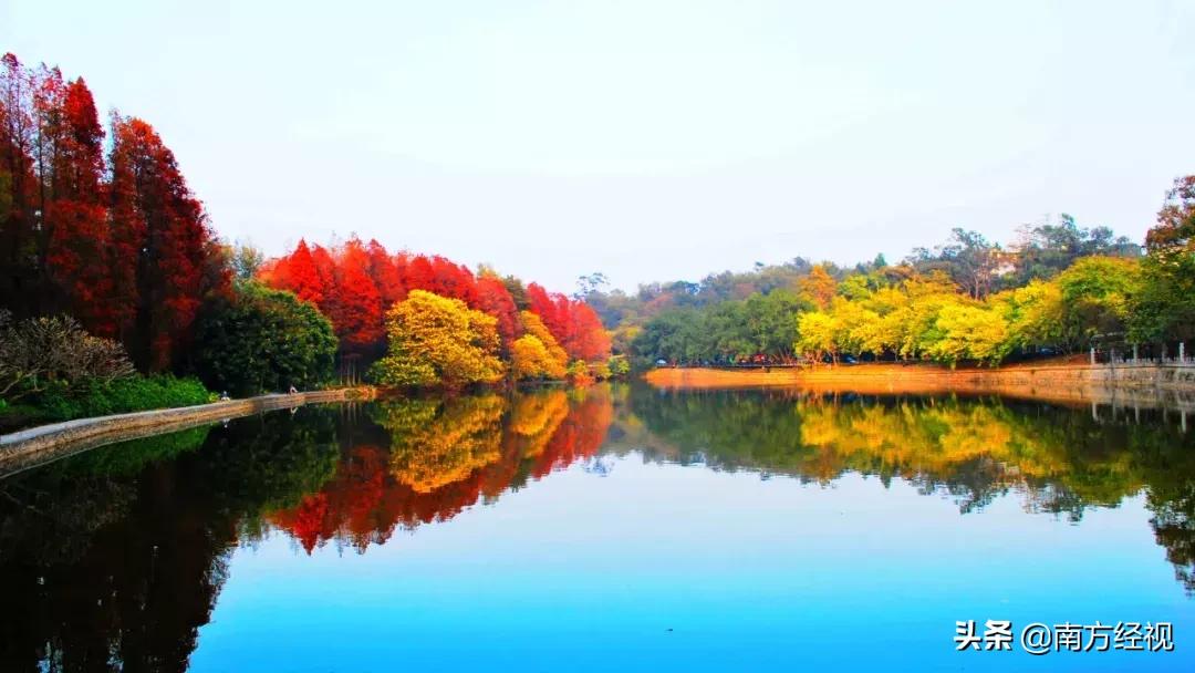 广州番禺丽江花园整体规划图,广州美林湖畔花园规划图