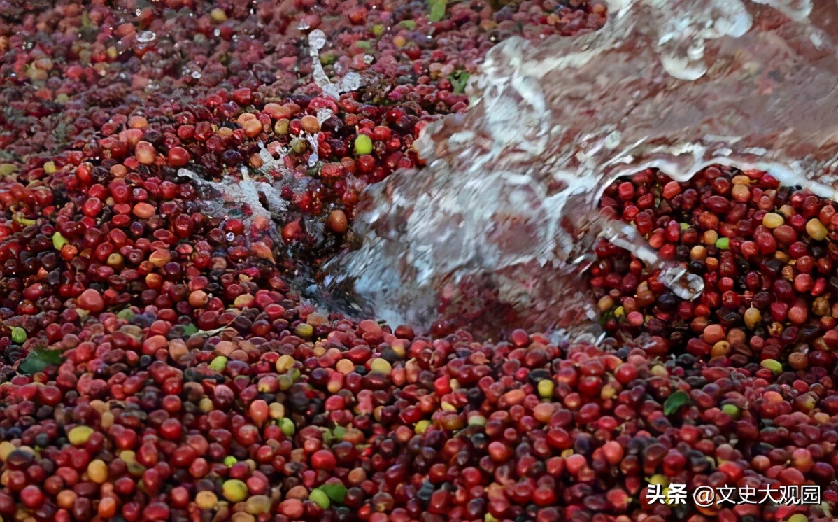 哥斯达黎加发展水平如何,哥斯达黎加是发达国家