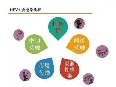 何为hpv,hpv疫苗二价四价九价接种年龄