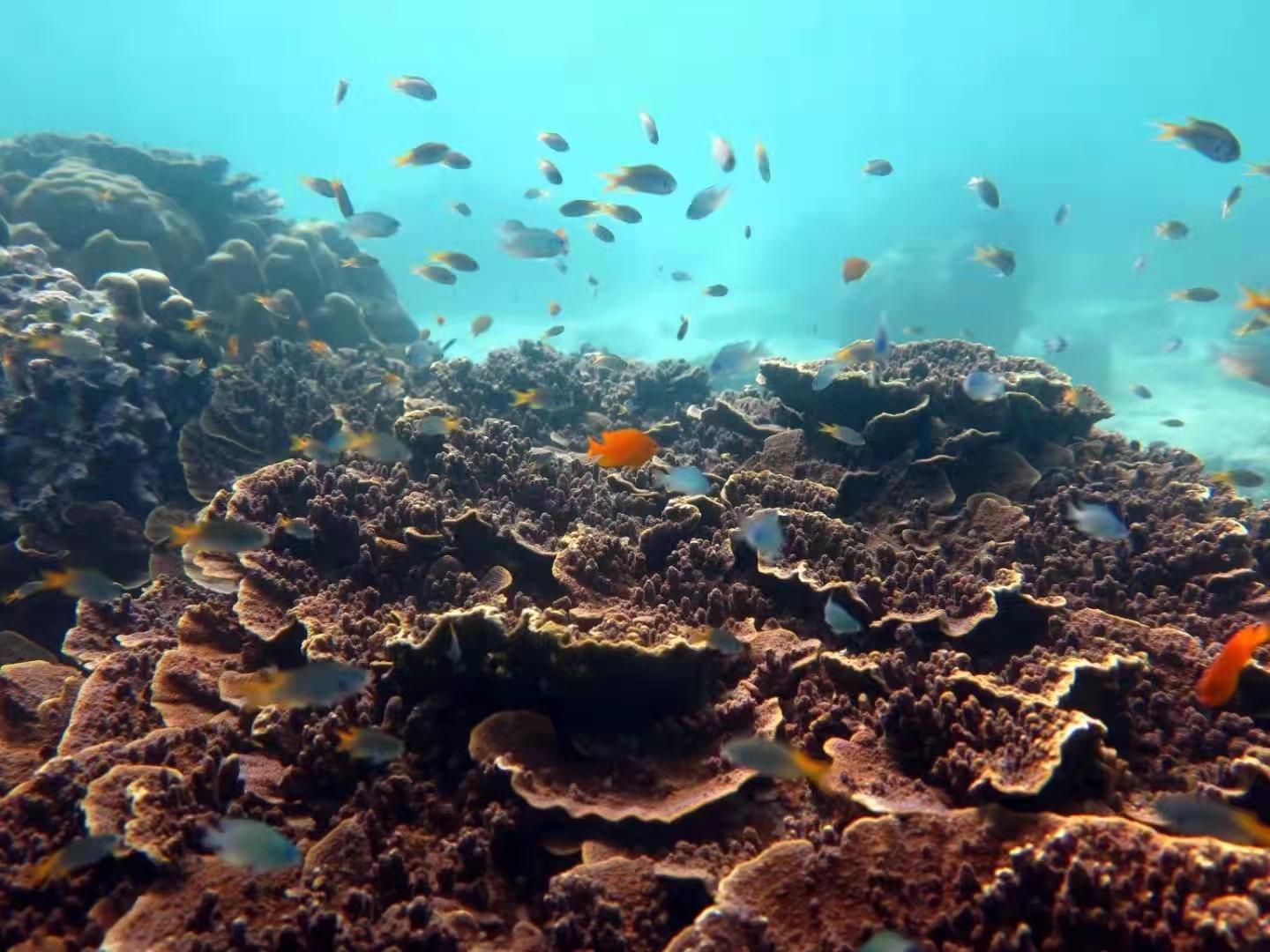 泰国旅游漫游,泰国6天惊喜之旅