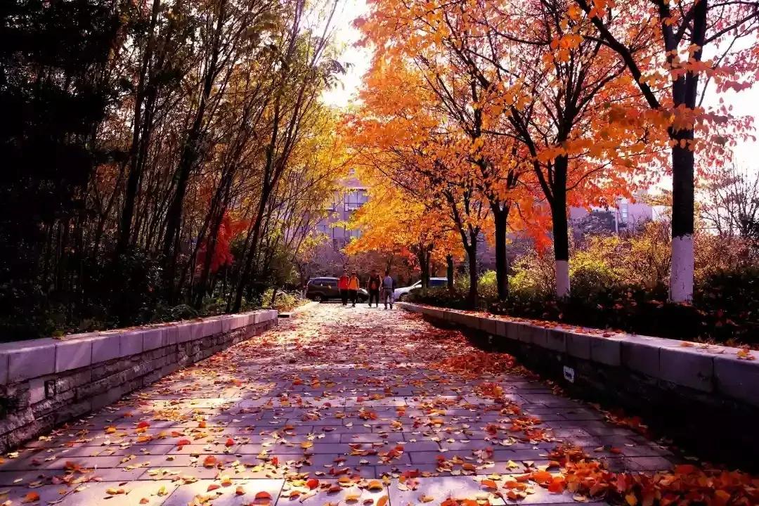 辽宁省普通高等院校（二十五）沈阳工程学院