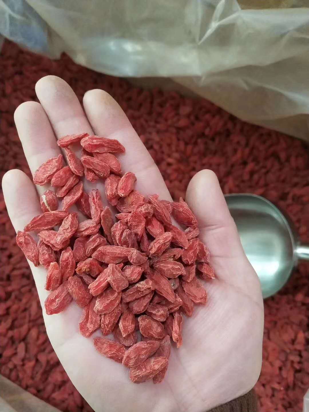 人参、鹿茸、鹿鞭、灵芝、枸杞怎样泡酒效果最好？