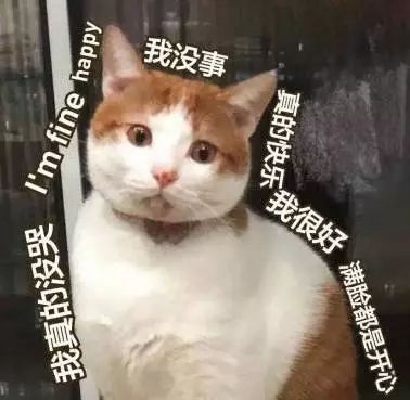 深圳去香港最省钱办法,目前深圳去香港全攻略