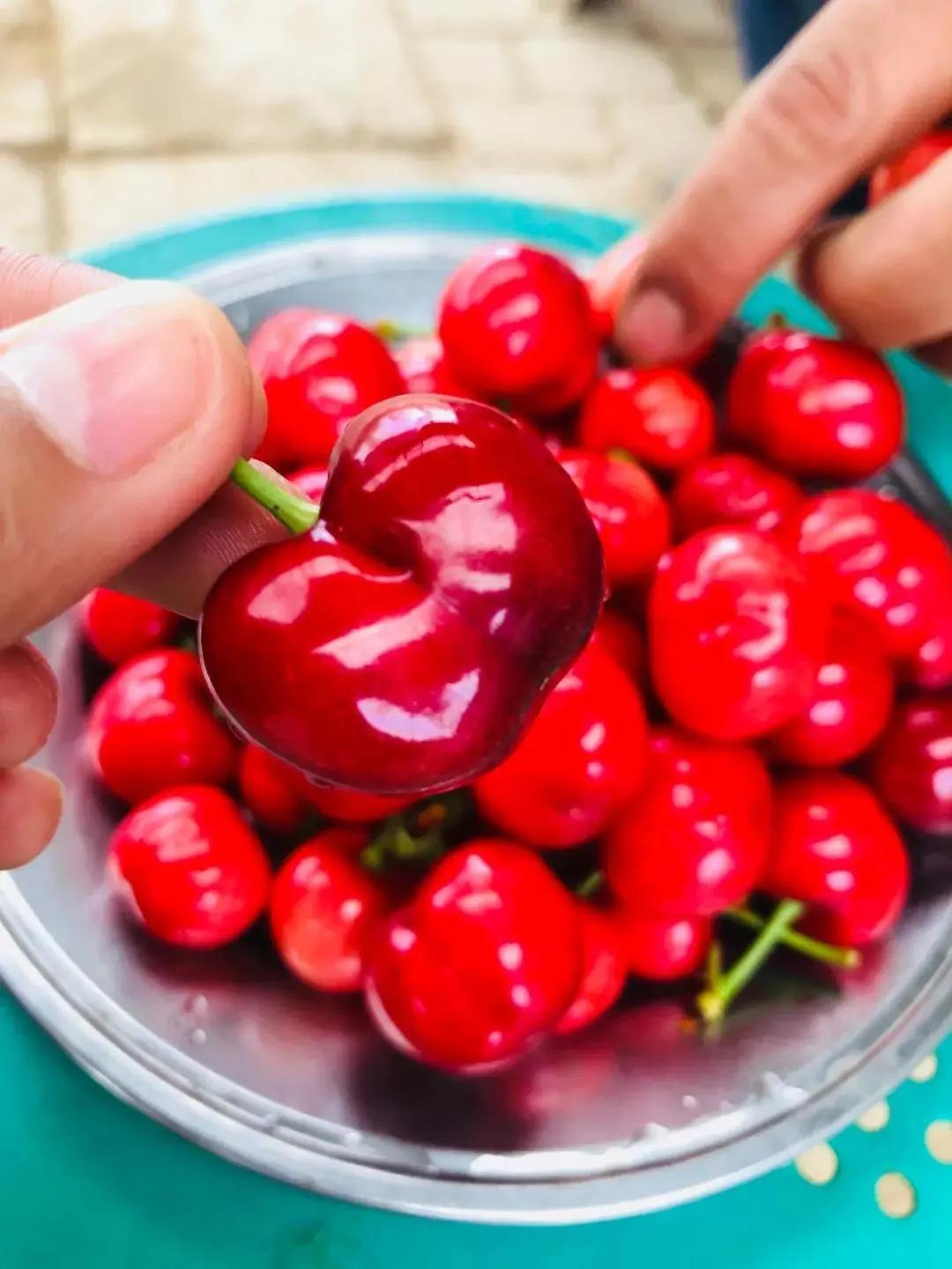 西安西郊摘樱桃最佳地方,长安区附近樱桃采摘的地方