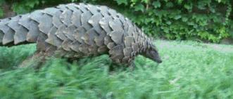 云舍结局,云舍最后的结局怎么样