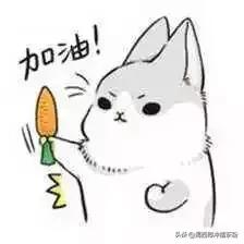 飞蚁大军空袭视频,飞蚁大军被空袭