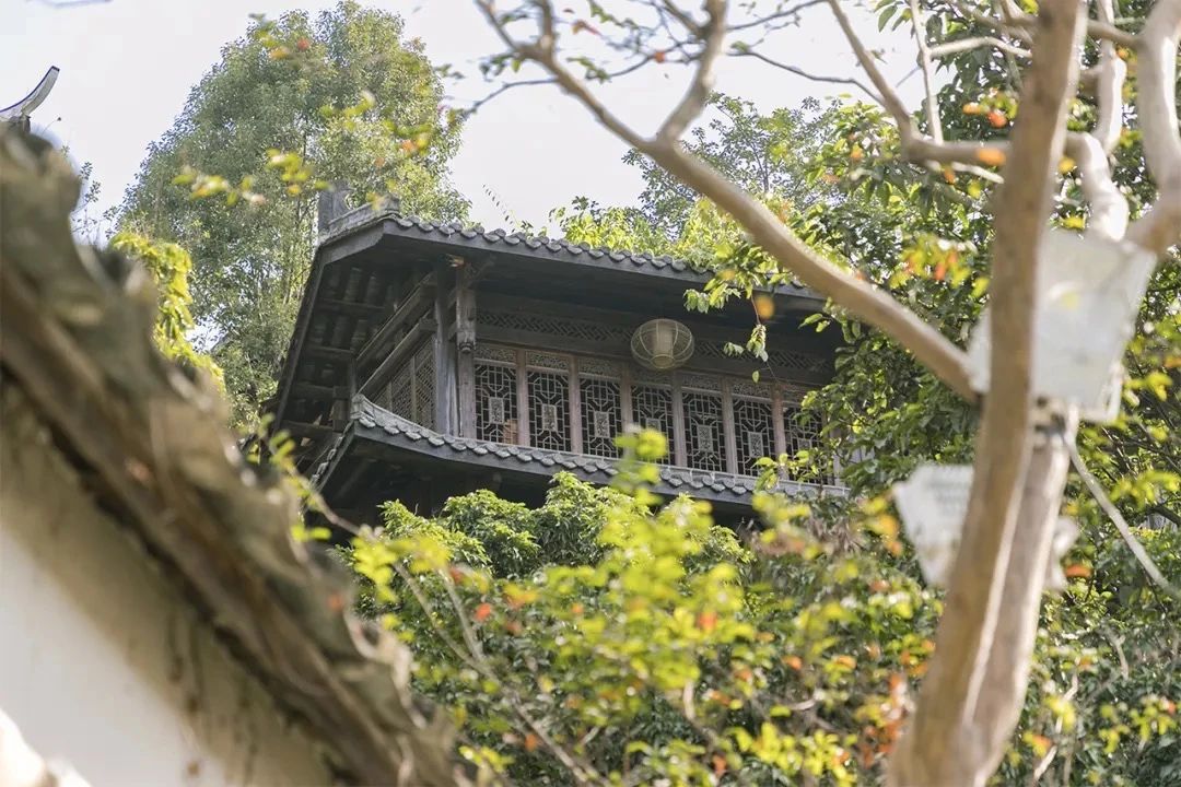 2021深圳免费适合遛娃玩地方排名,深圳免费游玩景点推荐