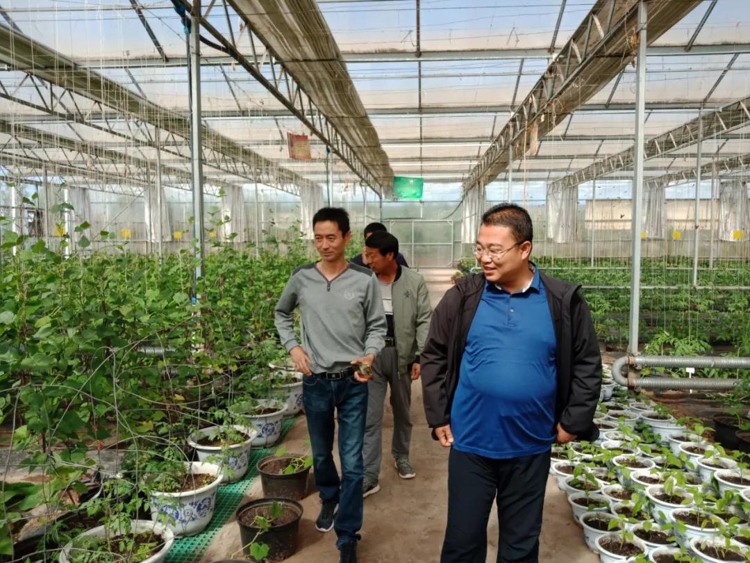 真好！一年挣一百多万元。阳原这个地方的人钱袋子鼓起来了