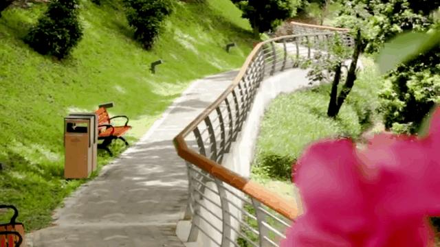 不离深,深圳高颜值绿道推荐一日游正好