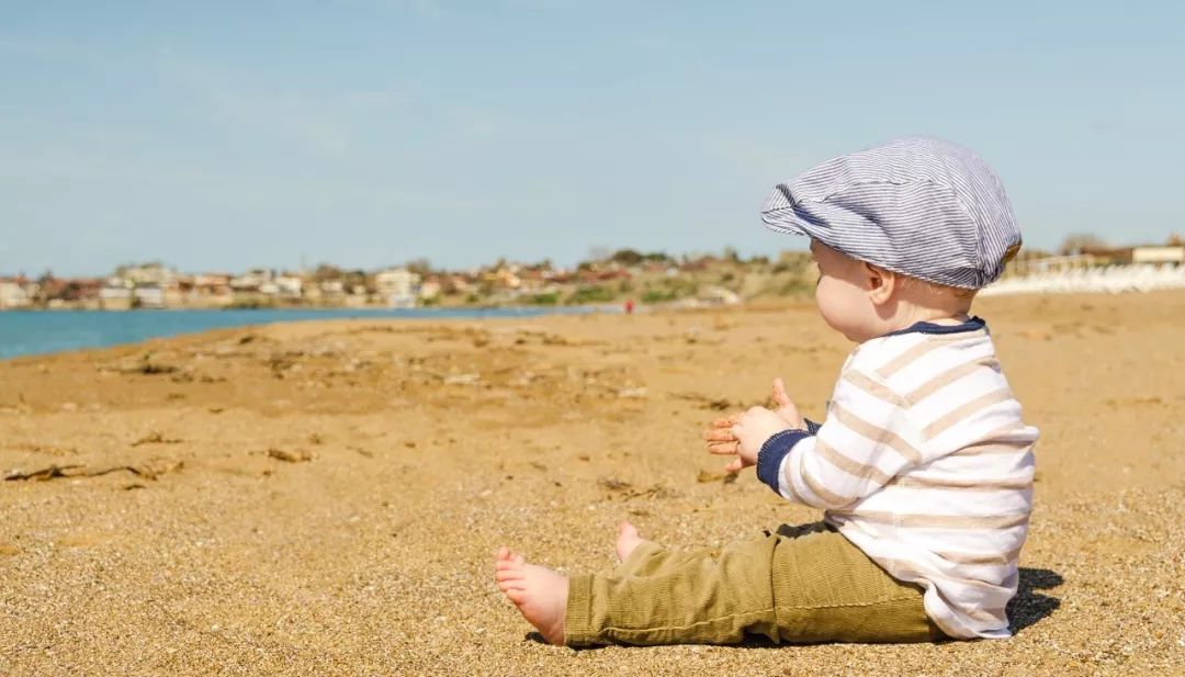 十二星座星盘小白入门课,十二星座星盘分析最准确