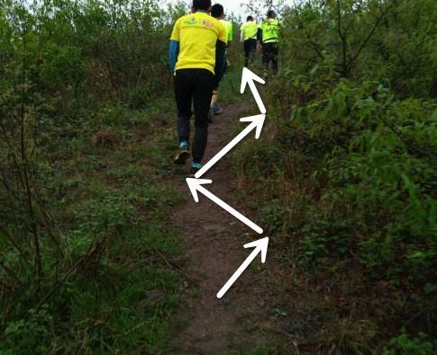 越野跑距离进阶指南 (新人入门越野跑都需要注意什么)