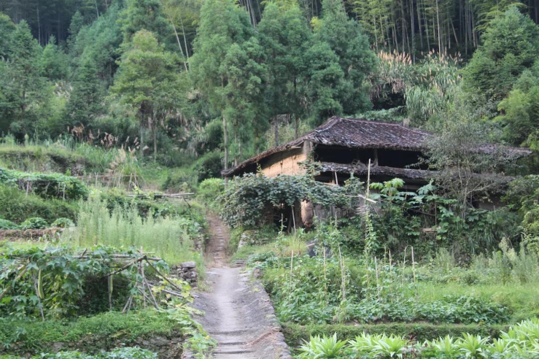 我要去旅行英文,我要去旅行完整版