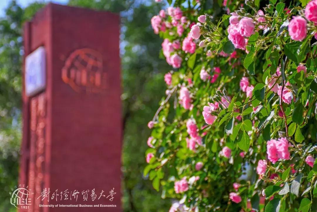 高考志愿@为什么报考对外经济贸易大学？