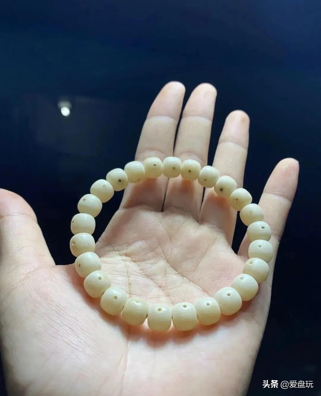 星月菩提没有星的是什么品种,星月菩提只有星没有月