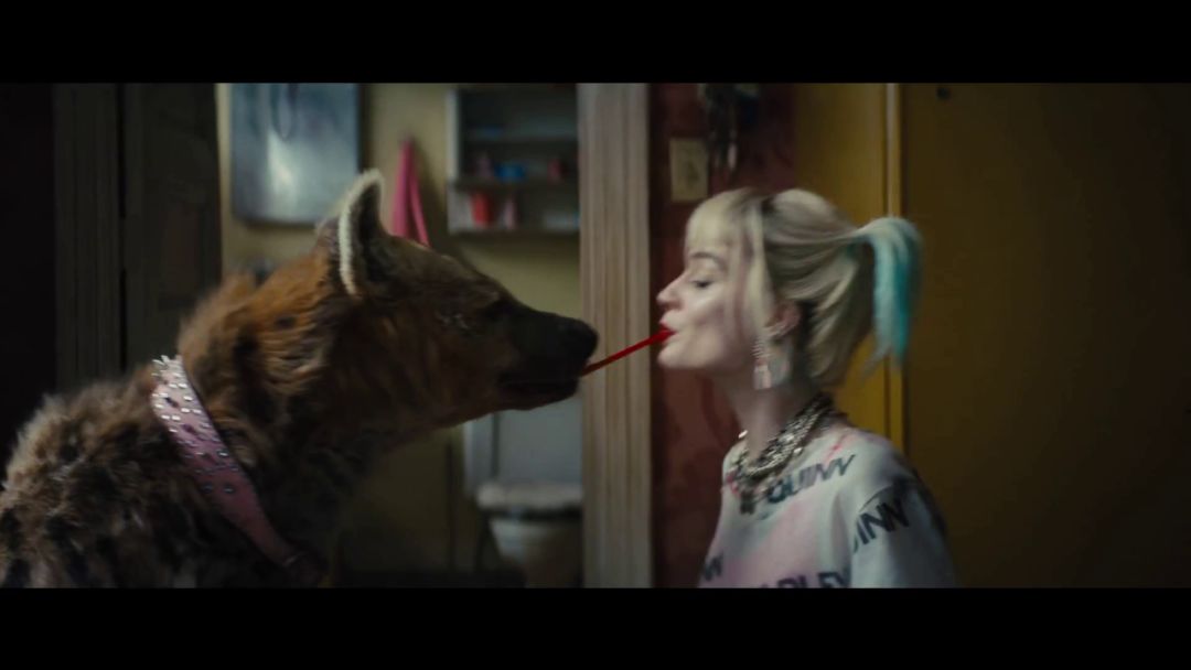 小丑女友哈莉结局,小丑女哈莉奎茵与猛禽小队