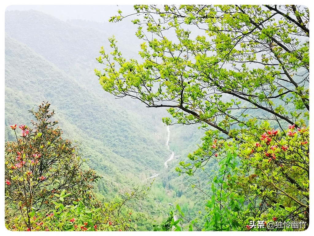 分享摄影爱好者的视频,学摄影如何少走弯路