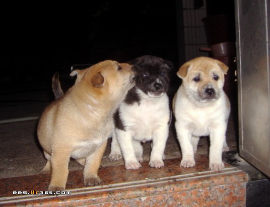民间相术绝技100招,民间故事小视频