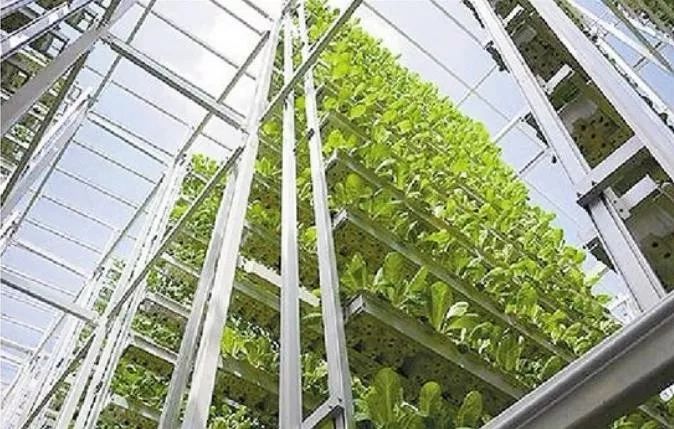 沙漠蝗防控方案,沙漠蝗灾如何防控