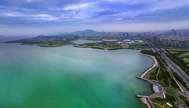 深圳湾在哪里,深圳湾是什么区的