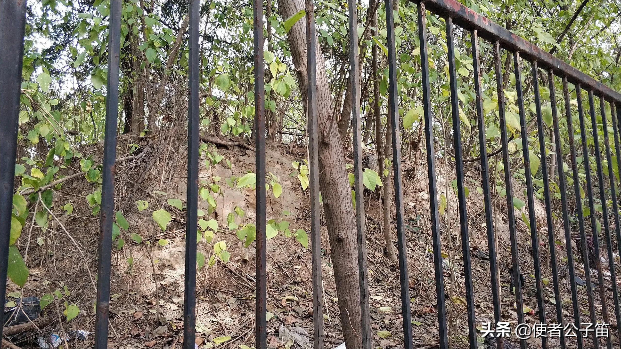 探秘西安长安,大明宫遗址公园攻略千宫之宫