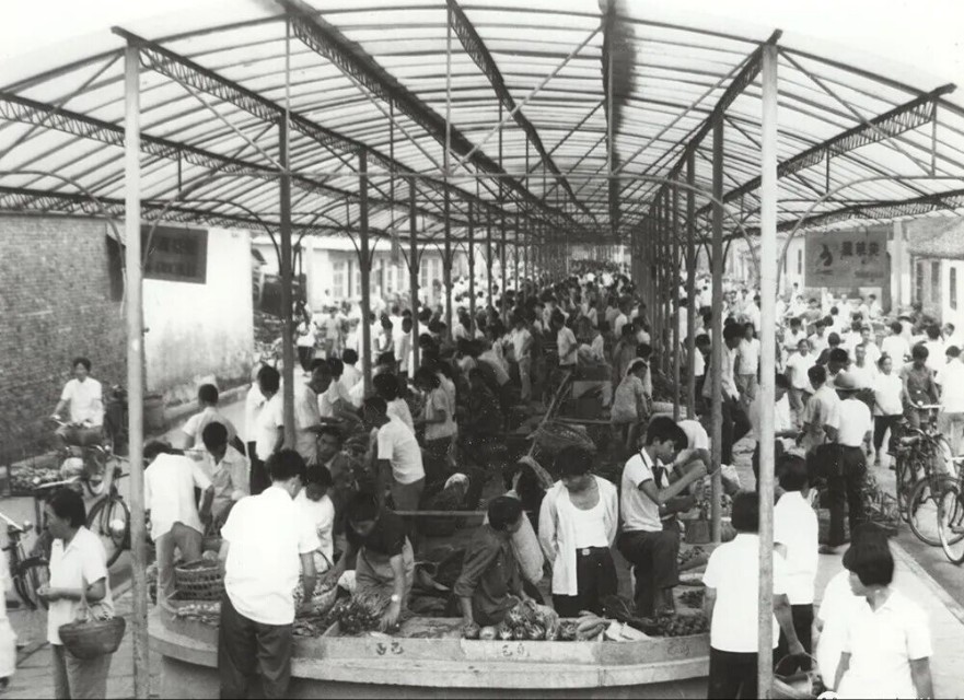 泰州人为何要错把洧字读成you?原来与《诗经》有关