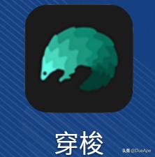 留学宝藏软件,赴美留学app排行