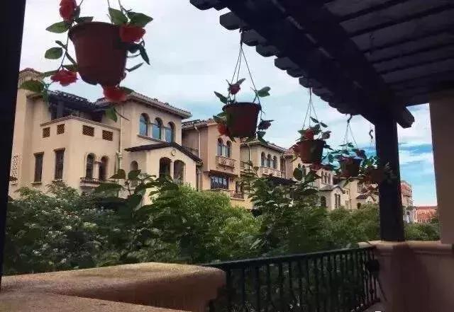 上海南汇:“金大团,银新场,铜周浦,铁惠南”这句话还灵吗?