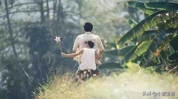 从《少年的你》《悲伤逆流成河》分析校园教育题材火爆的原因