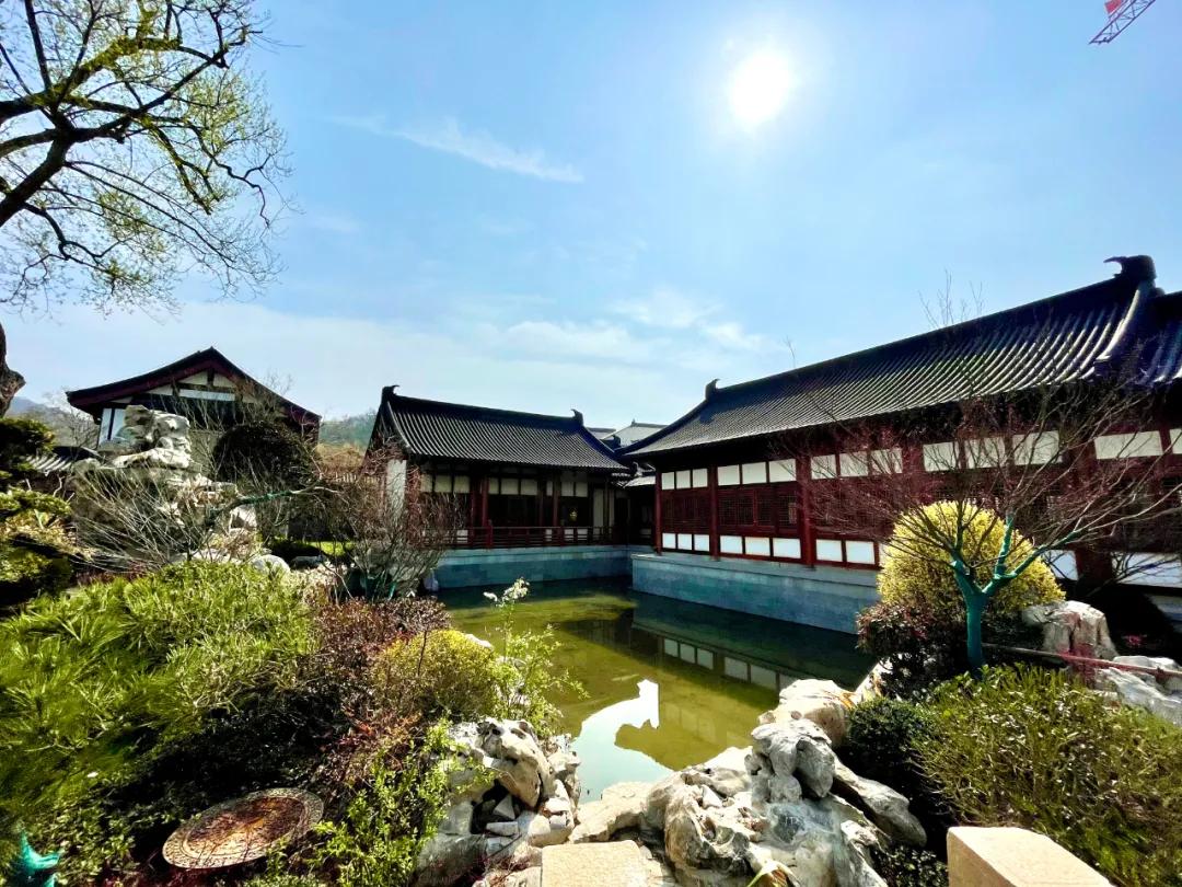 高科，与城市共生长的“城市赋能者”