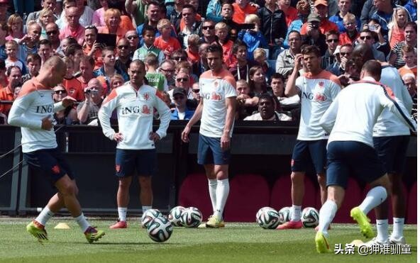 欧洲杯荷兰郁金香,欧洲杯c组比赛结果