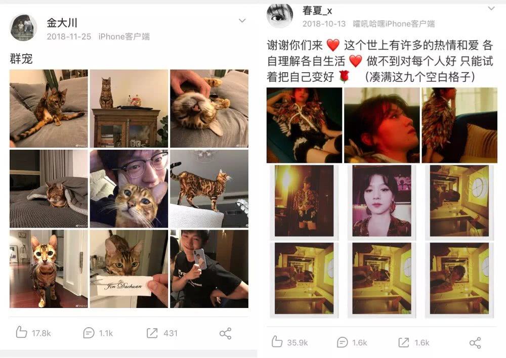 金大川和cici为什么分手,金大川cici为啥分手