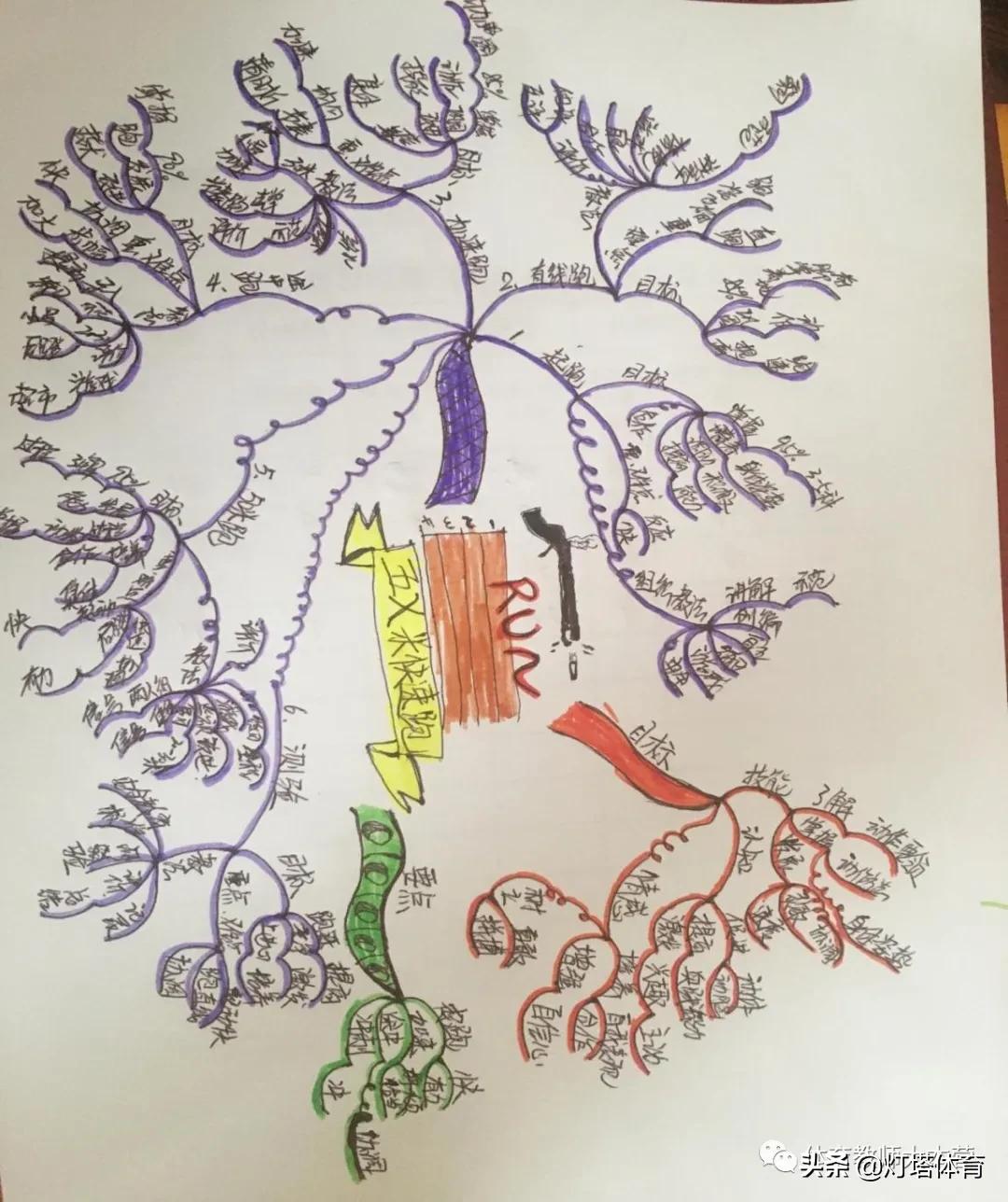 体育教学怎么提高运动技能,体育教案中重难点如何设定