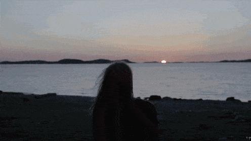 论一只舔狗的重要性,所有的舔狗都值得被尊重