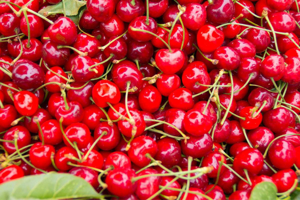 癌症病人可以吃的水果有哪些,得癌症后对身体最好的水果有哪些