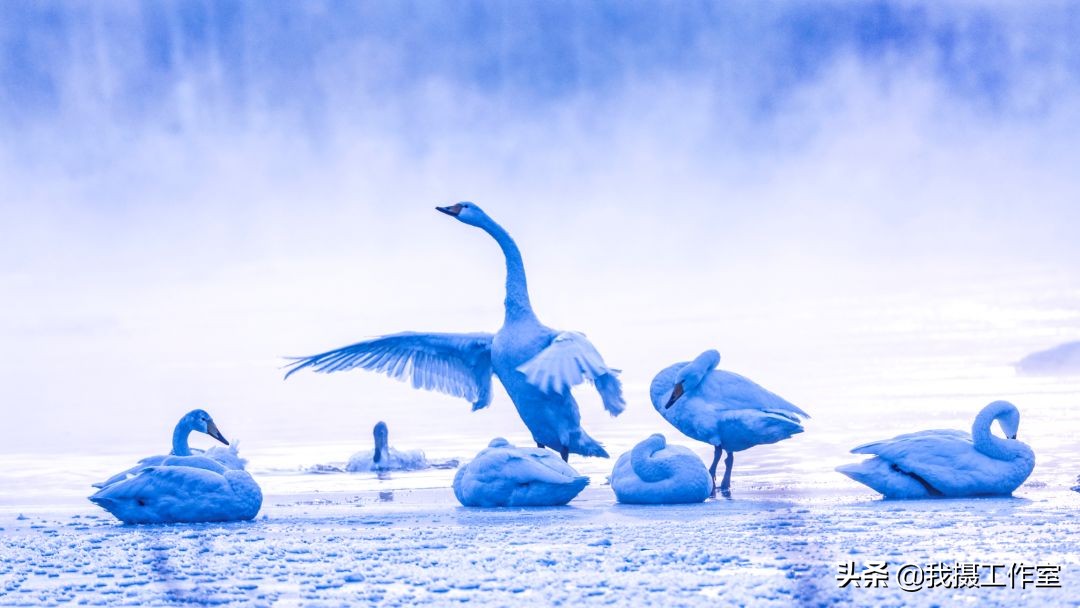 第16届国际摄影艺术展获奖作品,第29届全国摄影艺术展览作品集