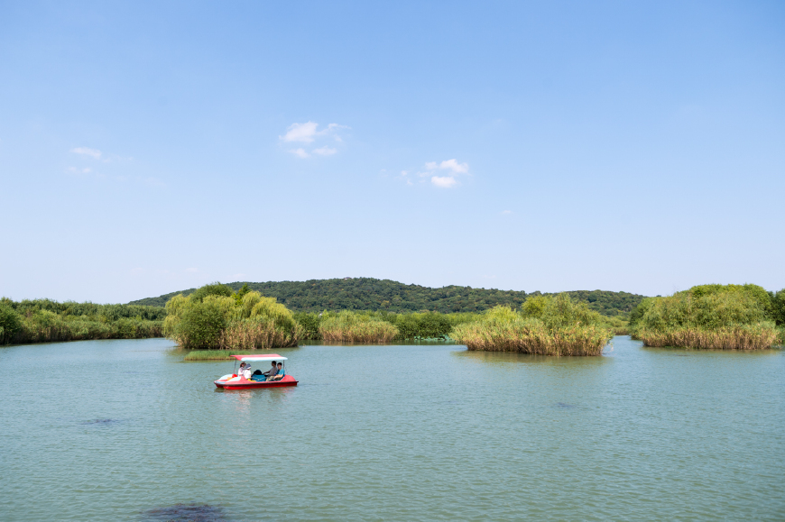 苏州隐秘岛屿有哪些景点,苏州你不知道的蓬莱秘境