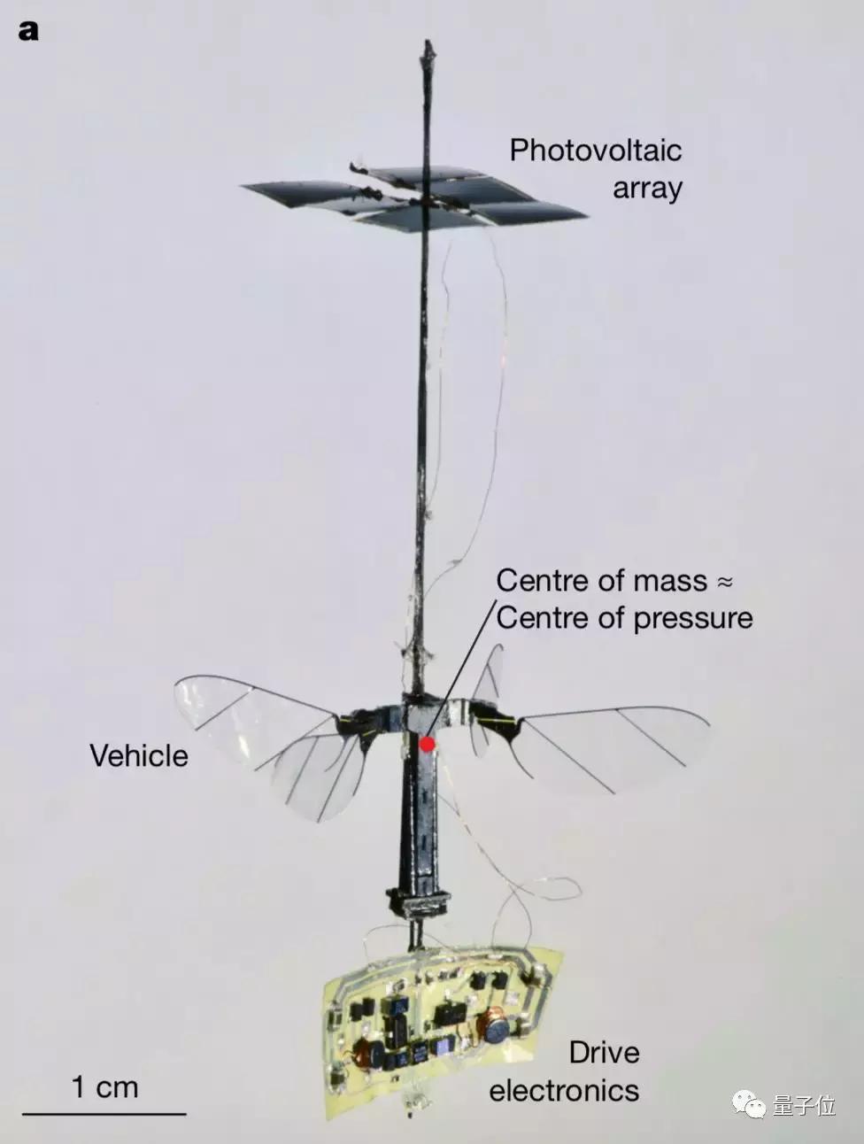 重量最轻的超小型无人机,史上最轻的无人机