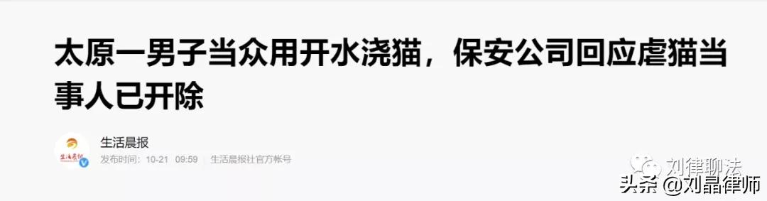 为什么虐待动物不犯法,虐待动物犯法杀动物犯法吗