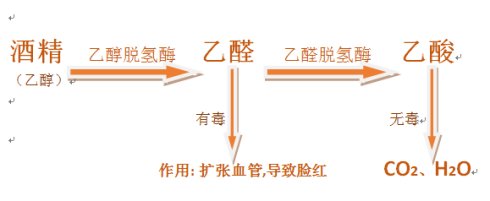 喝头孢后为什么不能喝酒,为什么吃了头孢后不能喝酒