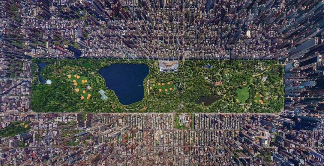 气到发抖，从没见过这么冤的「最佳新剧」