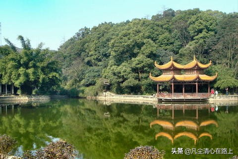 长沙南郊公园火车头公园,长沙最大公园叫什么公园