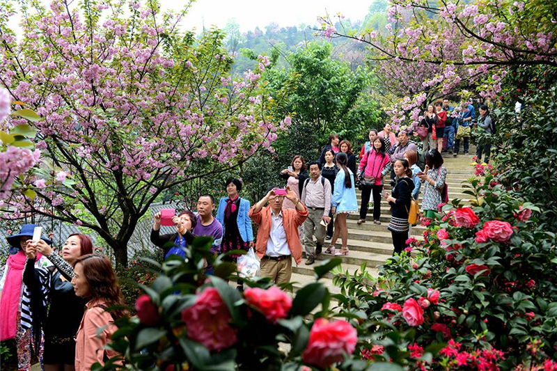 四川旅游踩坑的地方,贵州旅游踩坑