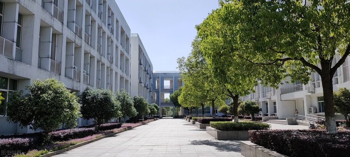 高考分数没有过线怎么办,高考没有资格报本科怎么办